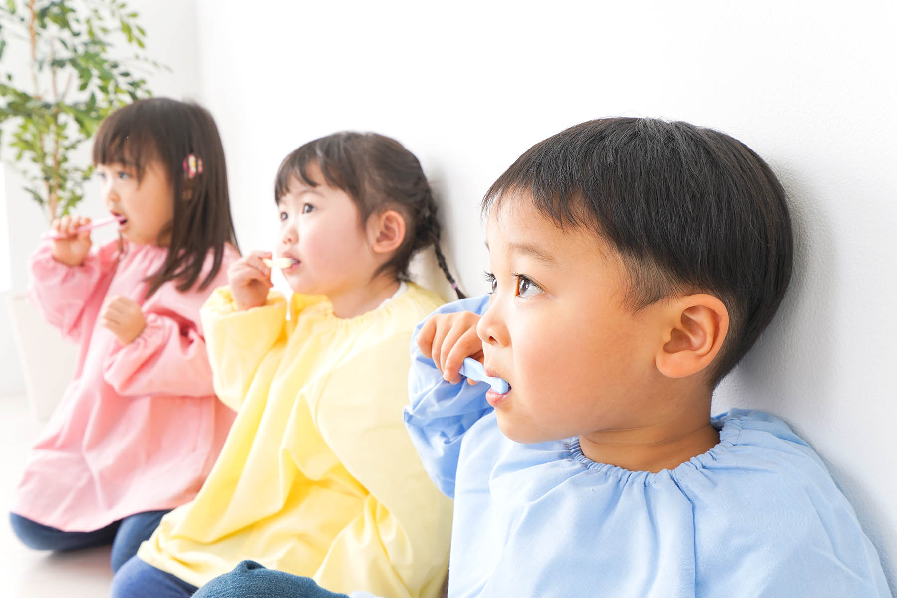 虫歯になりやすい子・なりにくい子の違い